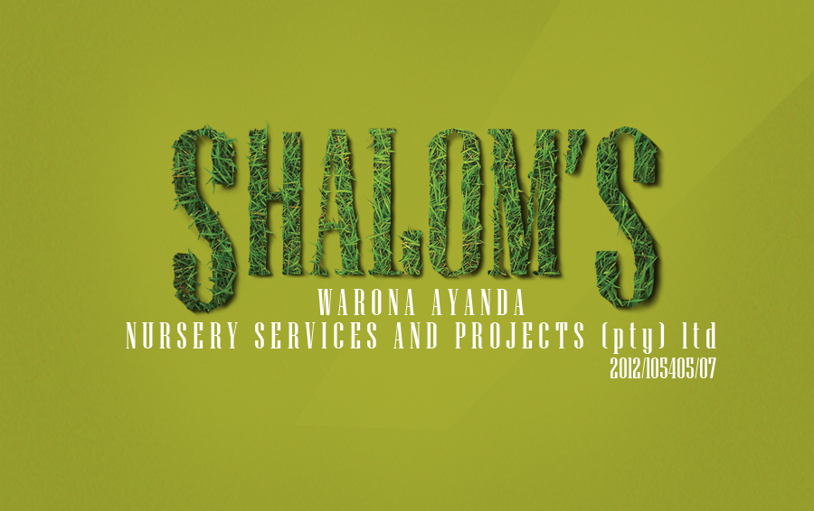 shaloms logo large